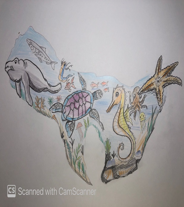 Drawing  by Armaan