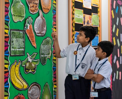 Curriculum Overview