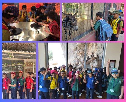 FieldTrip