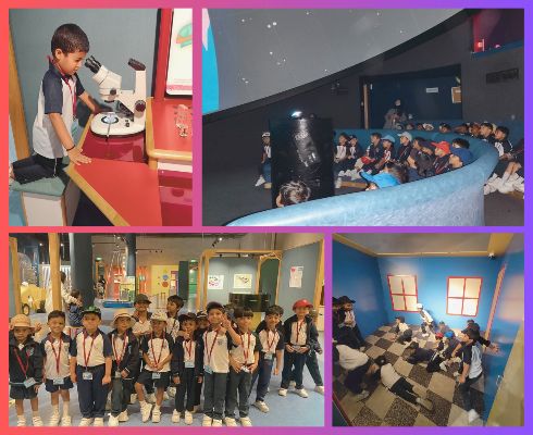 FieldTrip_KG2