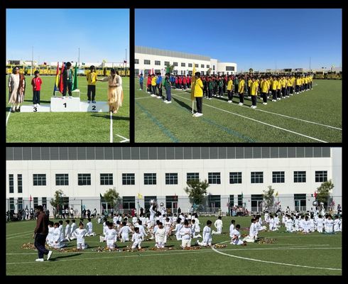 primary sports